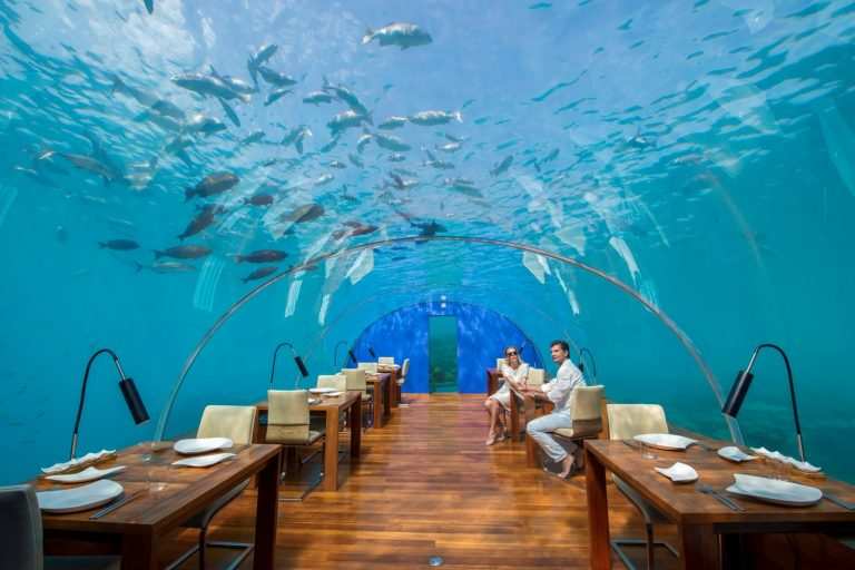 Ресторан под водой на Мальдивах Ithaa