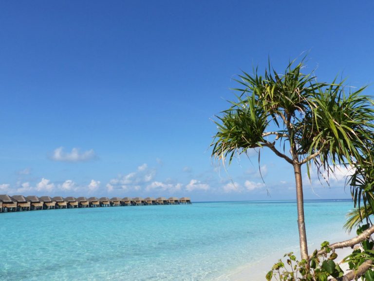 Нужна ли виза на Мальдивы для россиян пляж