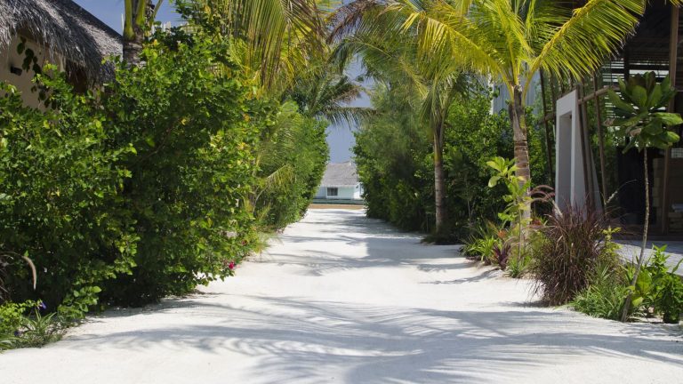 Мальдивы онлайн камера пляж