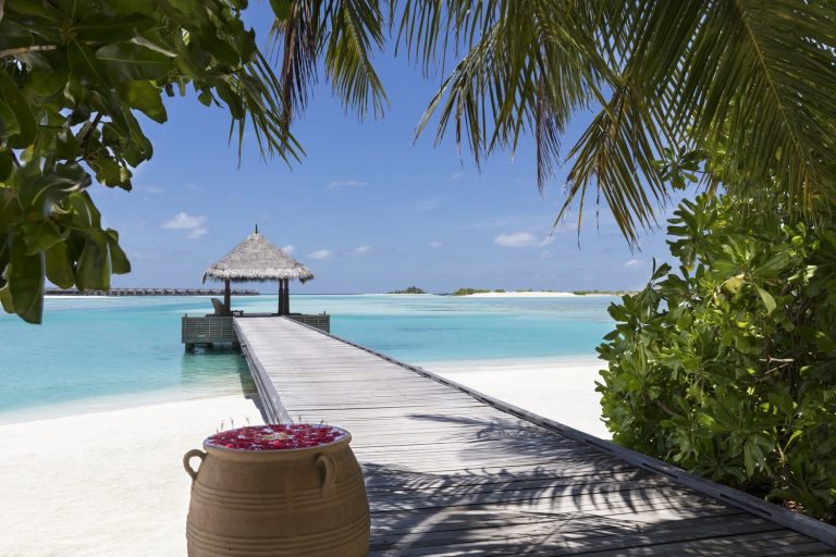 Отели на Мальдивах с хорошим домашним рифом для дайвинга